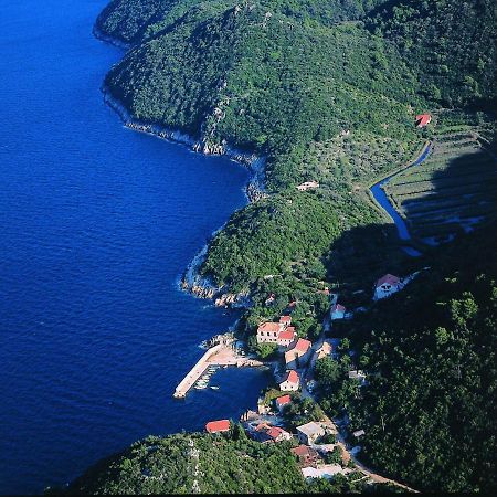 Apartmani Popovic Babino Polje Dış mekan fotoğraf